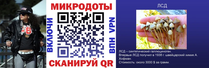 Купить закладки  Камень-на-Оби  Галлюциногенные грибы мухоморы 